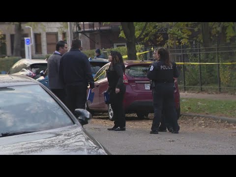 Recent University of Chicago graduate shot, killed in armed robbery near campus