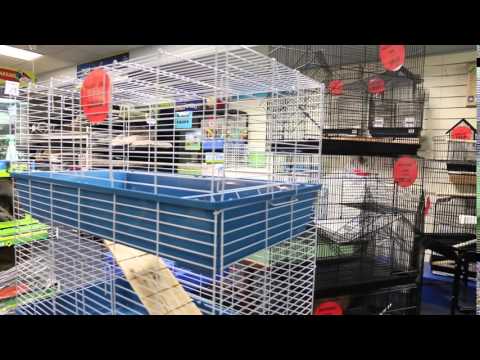 toucan-pet-centre-in-adelaide-sa-offering-pet-supplies-and-grooming
