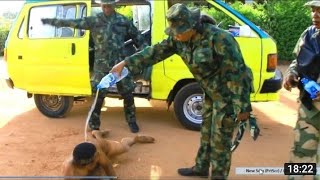 See What Soldiers Did To This Man, Learn A Lesson,// (Tittled Road Madness) Hahahaha