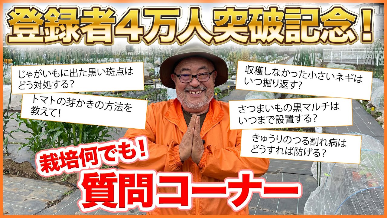 有料級 栽培何でも質問コーナー トマトの脇芽の取り方 きゅうりのつる割れ病対策 春夏野菜など家庭菜園の疑問にバンバン回答 Youtube