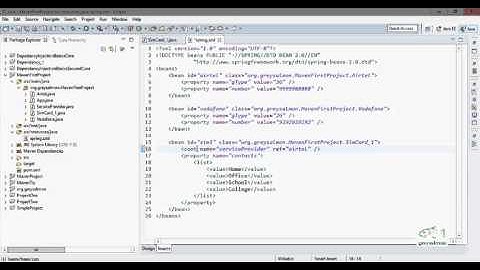 Spring Tutorial - 9 (Injecting Reference Type - Collection)