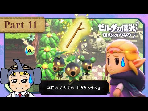 The Legend of Zelda: Borrowing Wisdom] Game Commentary! 