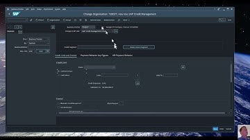 SAP - Set Up Customer Credit Limits (XD02)