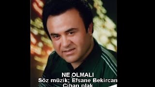 EFSANE BEKİRCAN - NE OLMALI Resimi