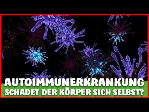 AUTOIMMUNERKRANKUNG - SCHADET der Körper sich wirklich selbst? NIEMALS