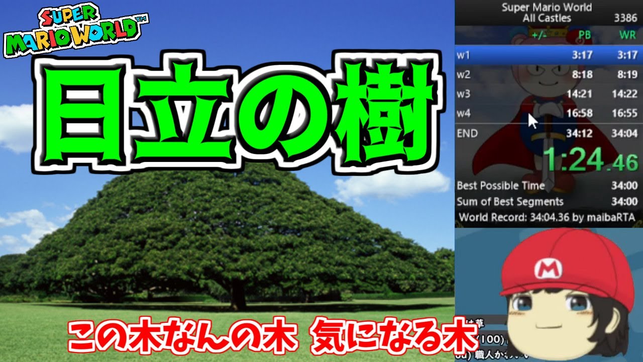 Rta中に この木なんの木 を棒読みちゃんで再現する視聴者が降臨して腹筋崩壊したｗ マリオワールド全城rta Youtube