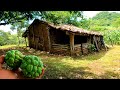 LA VIDA EN EL CAMPO EN EL SALVADOR! ENCONTRAMOS POSHTAS EN EL CERRO