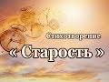 Стих  "Старость", исп.Шинкарев Анатолий