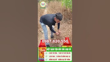 Diệt sạch tận gốc các loại cỏ - Chỉ 1 lần phun