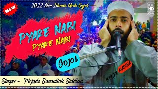 2022- New Urdu Gojol | পেয়ারে নবী পেয়ারে নবী | pyare Nabi pyare Nabi | Pizza da sanaullah Siddiqui