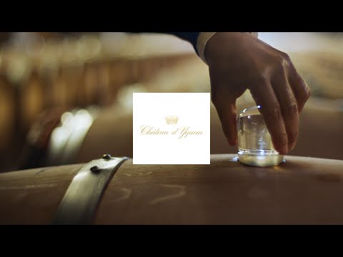 Video: Di mana chateau d yquem?