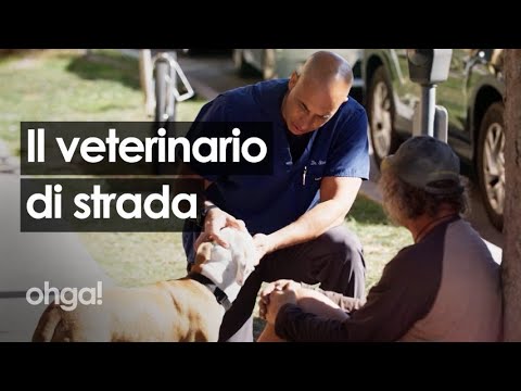 Dr Kwane Stewart, il veterinario che cura gli animali dei senzatetto per le strade della California