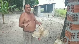 Matando Galinha No Sítiocozinhando