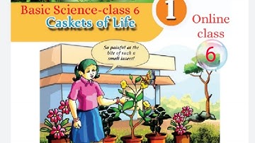 Caskets of Life/Online class 6/ Basic Science-class 6