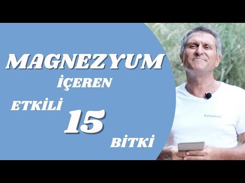 DOĞAL MAGNEZYUM NELERDE VARDIR I EN İYİ MAGNEZYUM İÇEREN BESİNLER