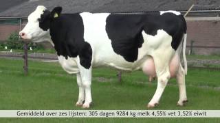 Fleckvieh Verkiezing 2015, Laura 103