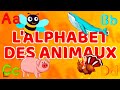 Lalphabet animaux et les chiffres hippopotame  papa poule comptines