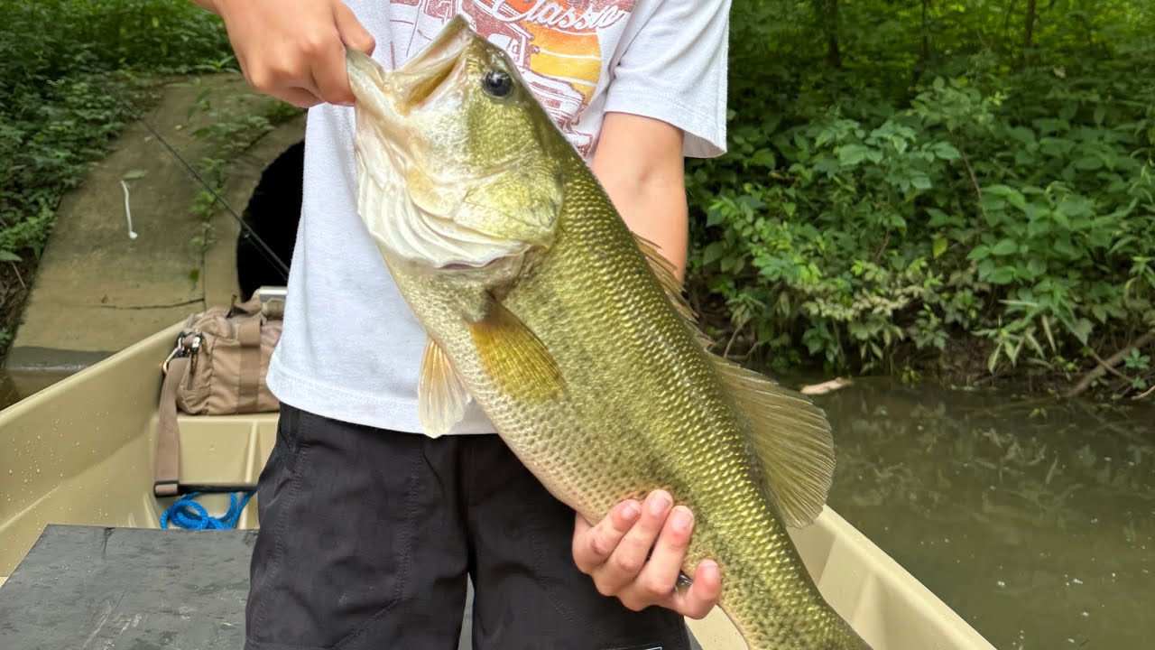 Largemouth bass fishing in a Jon Boat on a shallow creek.