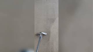 Johnny On The Spot: Top-Rated Carpet &amp; Upholstery Cleaning in Chicago &amp; Illinois Suburbs