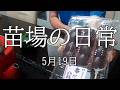 (577) 苗場ひとり暮らし 　5月19日