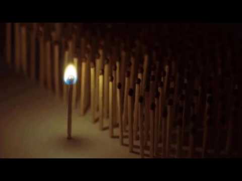 Florin Tafta- Viata
