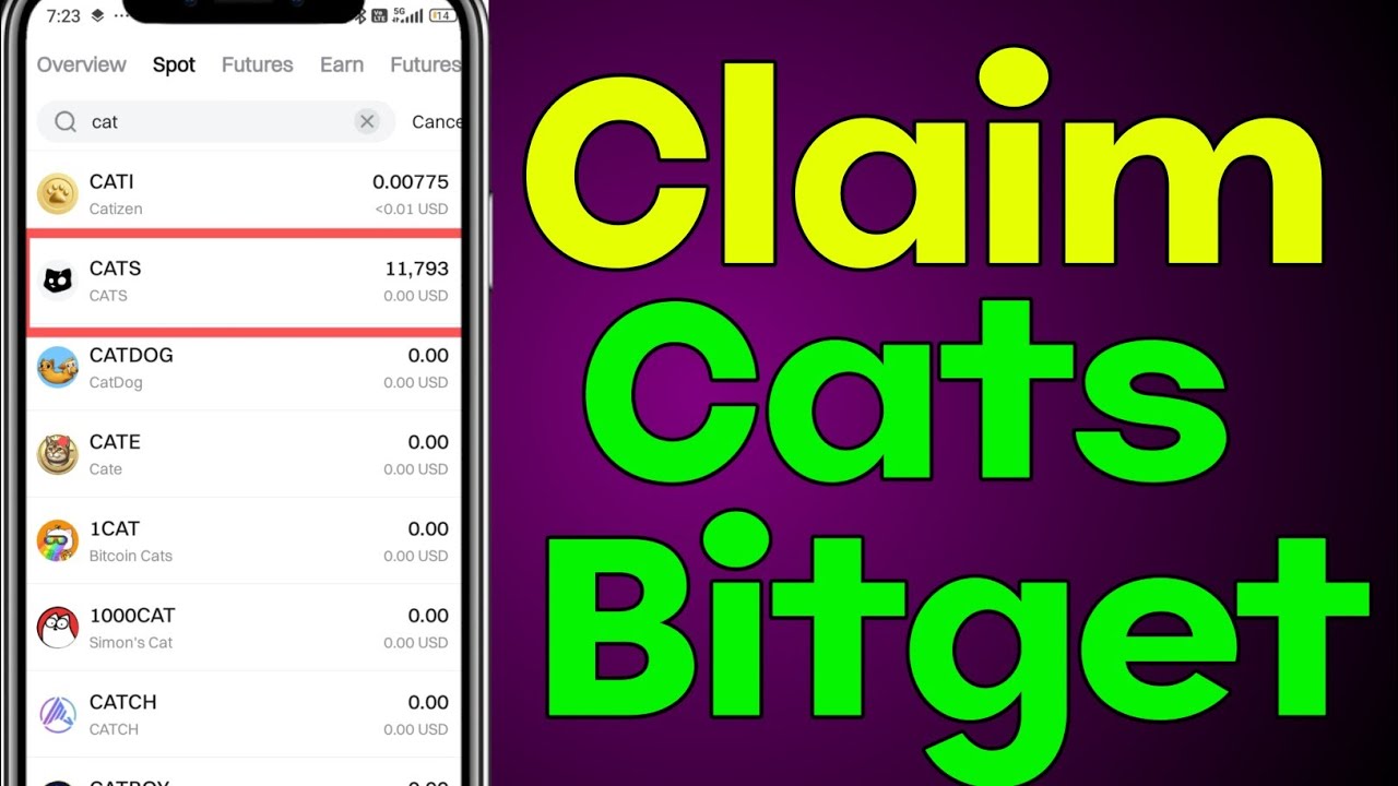 Cats Not Received Bitget Problem Solve - YouTube