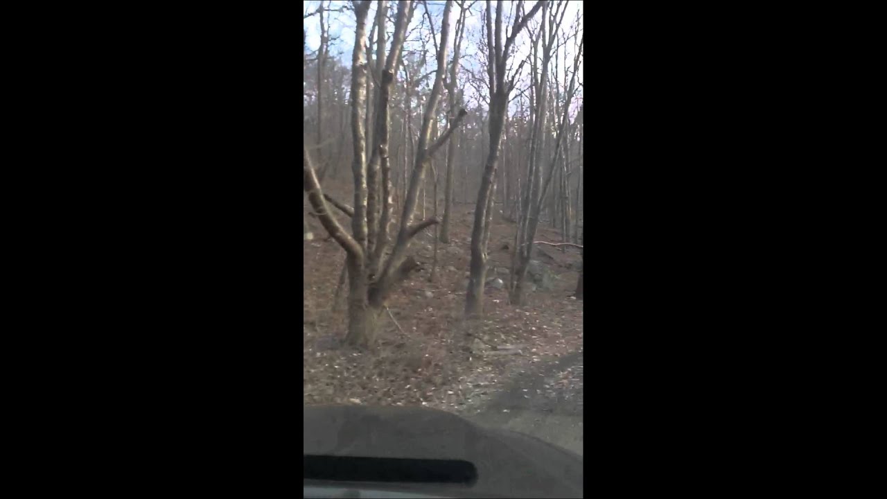 4wheeling in brushwood section of ringwood manor state park youtube