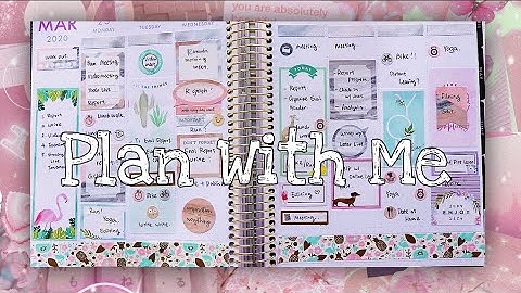 Plan with Me| Michael