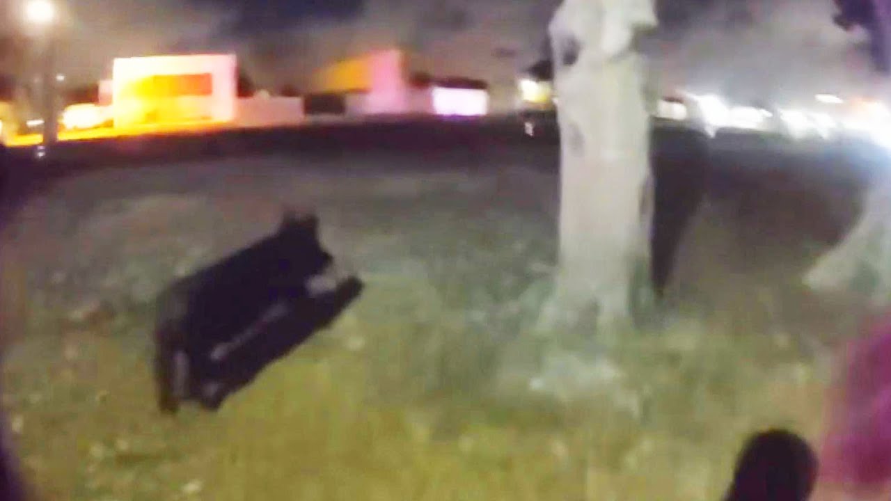 Florida Police Chase a Runway Piggy and Bring It All the Way Home