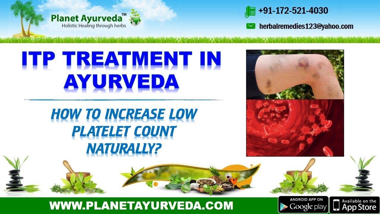 Watch Video ITP Treatment in Ayurveda-Increase Low Platelet Count Naturally