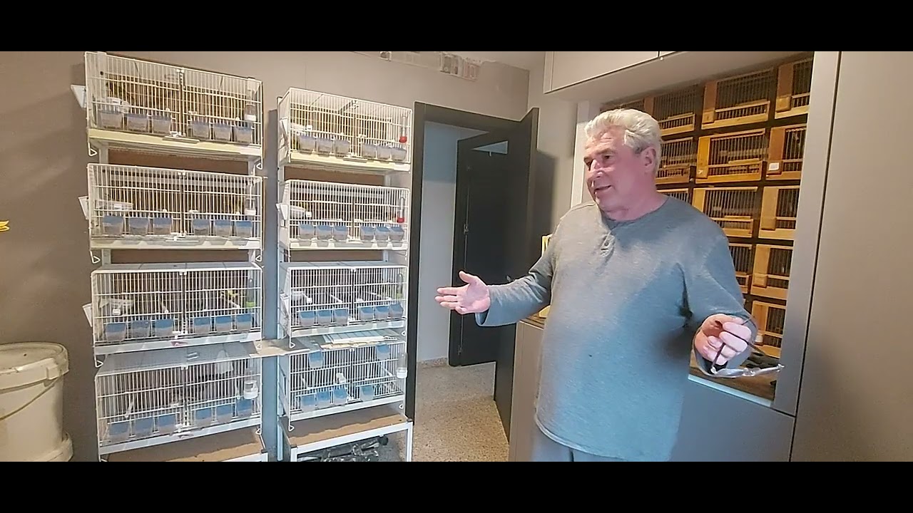 2 de febrero de 2026