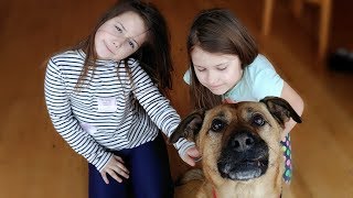 Magda Steczkowska - Prawie Wszystko Official Video 2018