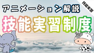 【アニメでわかる】外国人技能実習制度について【解説】