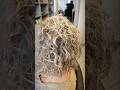 Hair Botox su Capelli Fini e Decolorati Floractive BTX Smooth e BTX Mandioca