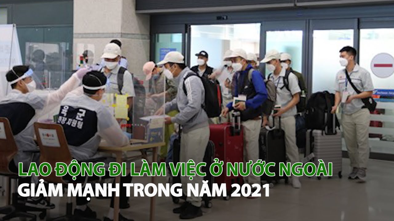 Cập Nhật 2025: Top 13+ Công Ty Xuất Khẩu Lao Động Tốt Nhất tại Đồng Nai Bạn Cần Biết