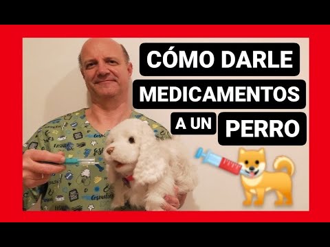Video: Cómo Darle Medicamentos A Tu Cachorro