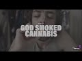 What if god smoked cannabis  official  2023  bob rivers twisted tunes