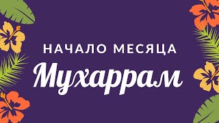 Начало благословенного месяца «Мухаррам». Пост в день Ашура 2020 | Шейх Абу Яхья