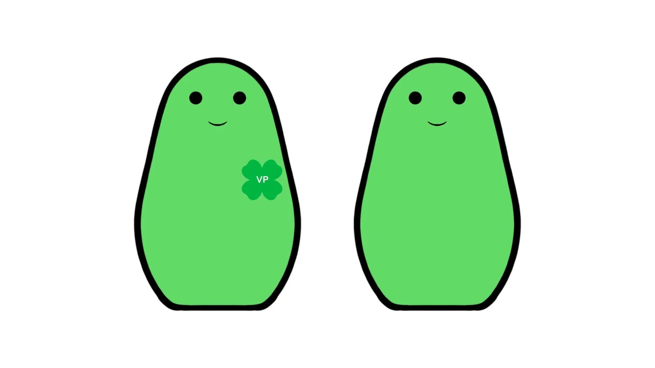 4-H Ontario Structural Governance