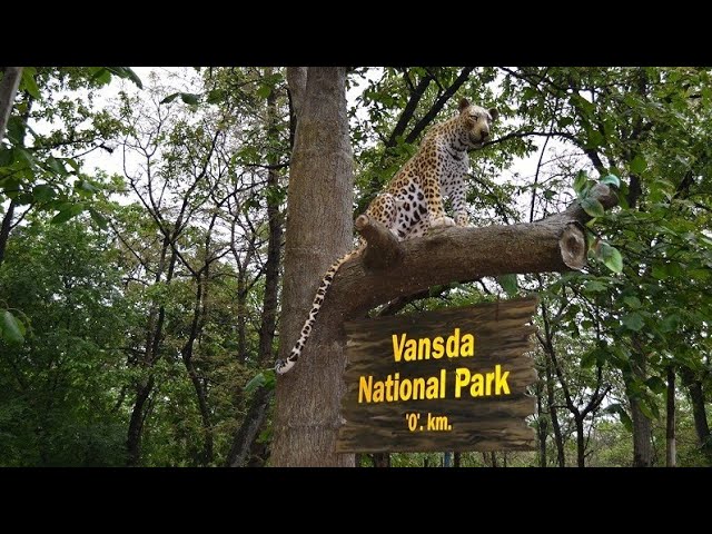 Vansda National Park || Gujarat - YouTube
