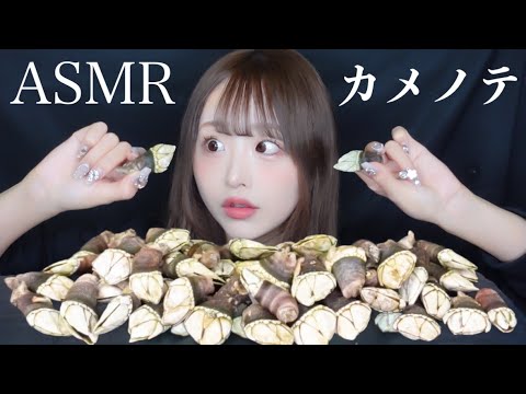 【ASMR】コレ何⁉️珍味🐢カメノテを食べる！【咀嚼音 eatingsounds】