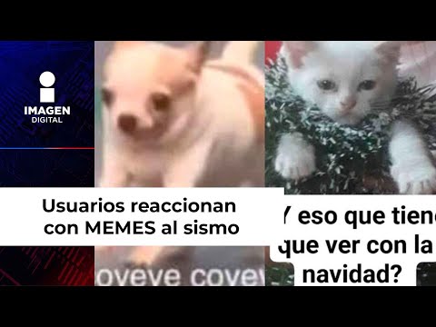 Tiembla en México: usuarios reaccionan con MEMES