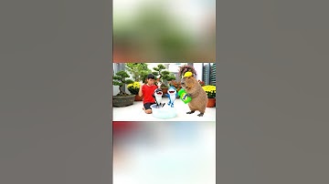 Capybara cùng anh giúp bà tắm cho con Orcalero Orcala tralalero tralala và cái kết #capybara