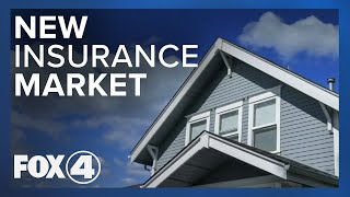 The Future of Florida's Insurance Market Post-Ian