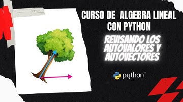 Curso de Algebra Lineal Con Python - Autovalores y Autovectores