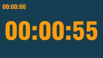 55 second timer (with end alarm, time elapsed and progress bar)