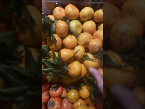 Видео: Как се правят кифли с мандарина от маково семе
