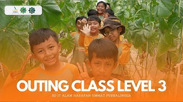 Outing Class Level 3 SD IT Alam Harapan Ummat Purbalingga