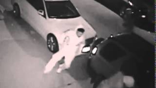 Ozone Park Muggings