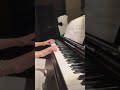 عزف بيانو لاتتركني موسيقى حزينة عزف بيانو لاتتركني موسيقى حزينة